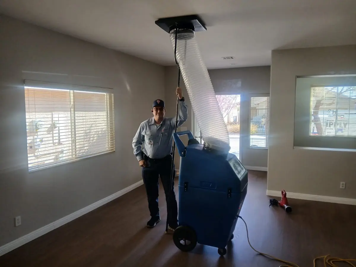 Professional Dryer Vent Cleaning work inside a Tyrone home